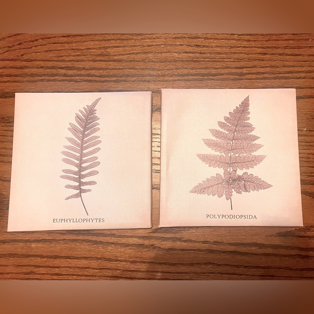 Boho Plant canvas wall decor set of 2